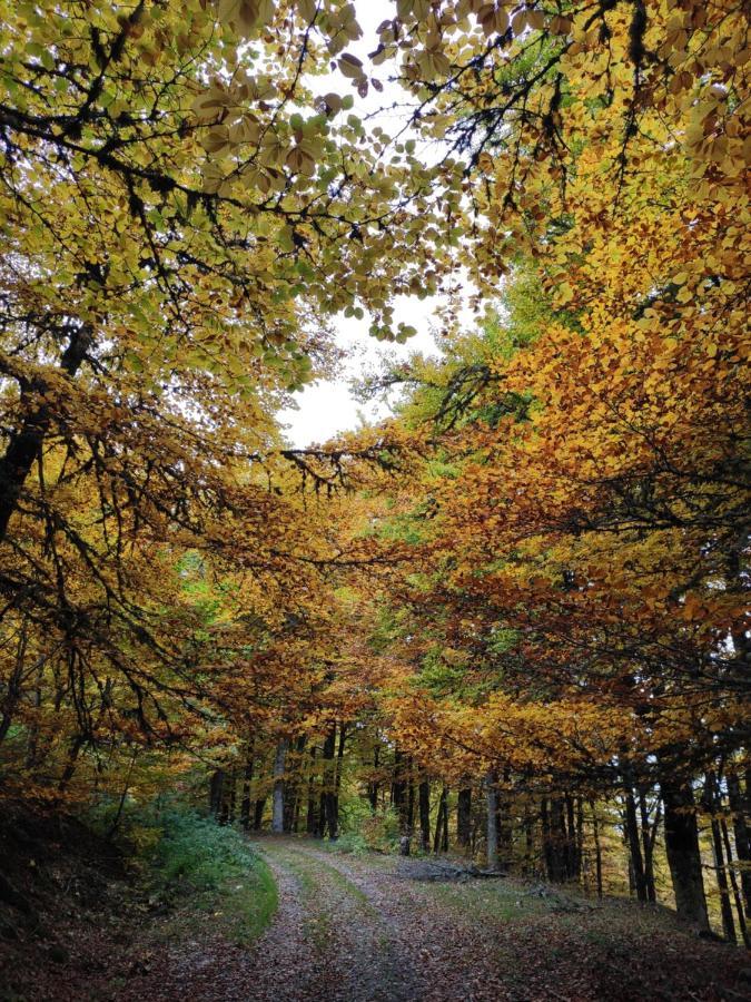 Appartamento Prao del Molin Cangas De Narcea Esterno foto